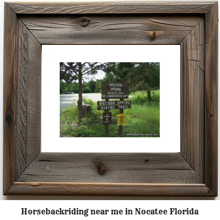 horseback riding near me in Nocatee, Florida